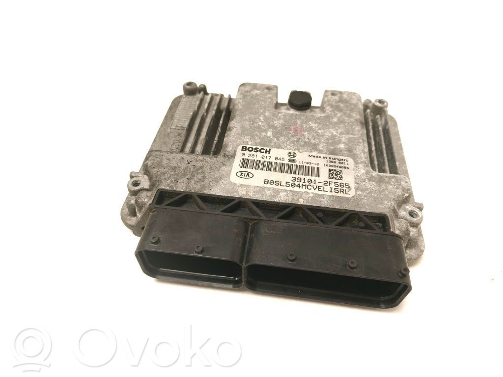 Engine control unit/module   391012F565,0281017045