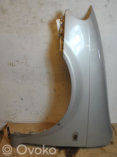 Fender