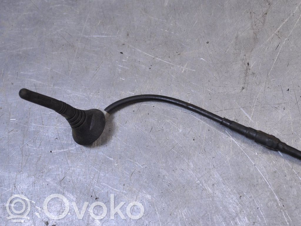 Radion antenni