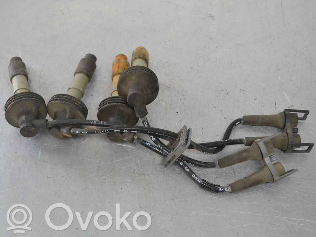 Ignition plug leads