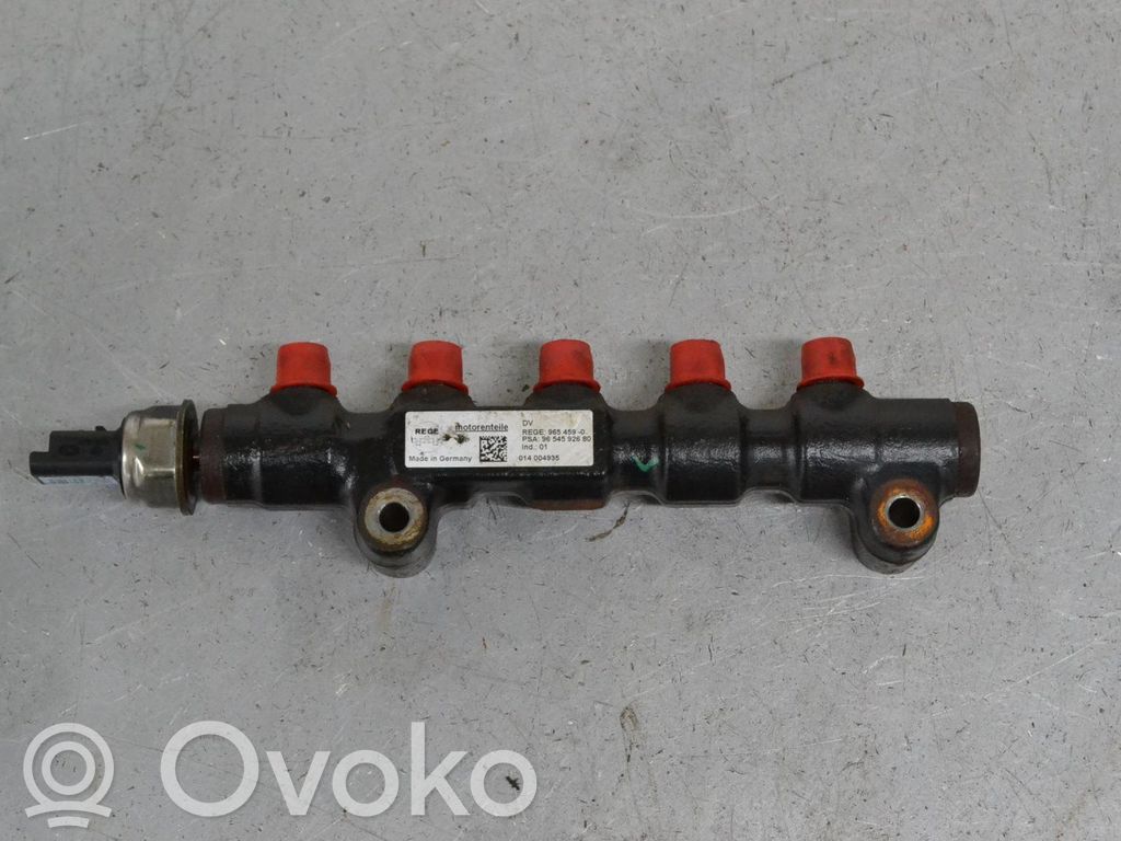 Polttoainepääputki   9654592680