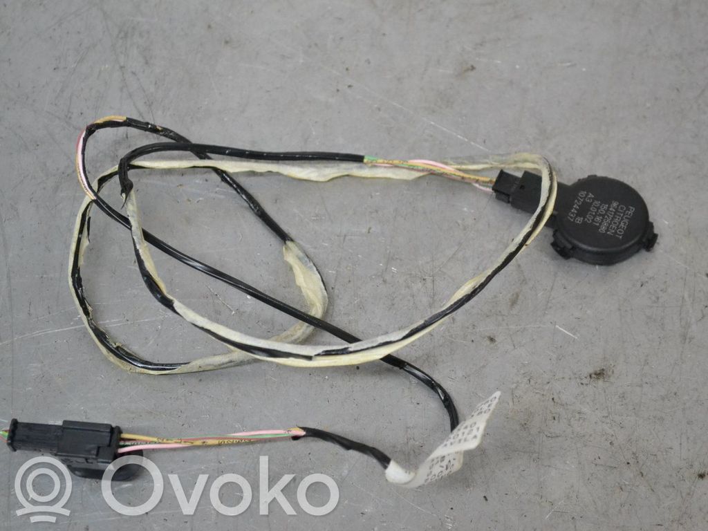 Regensensor   9641725880