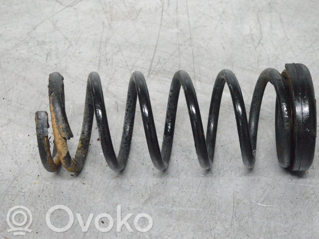 Rear coil spring