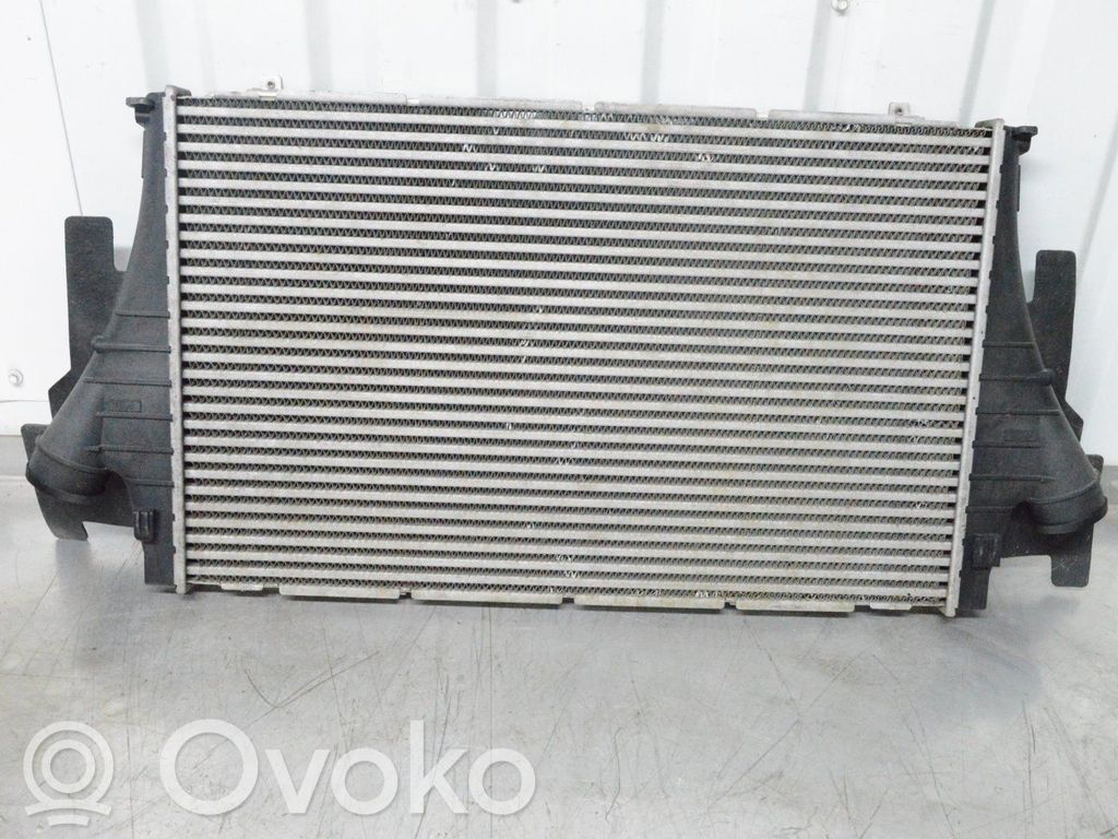 Interkūlerio radiatorius   12800599