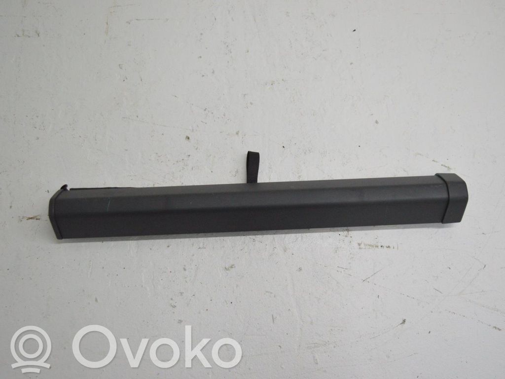 Trunk grilles   39816746