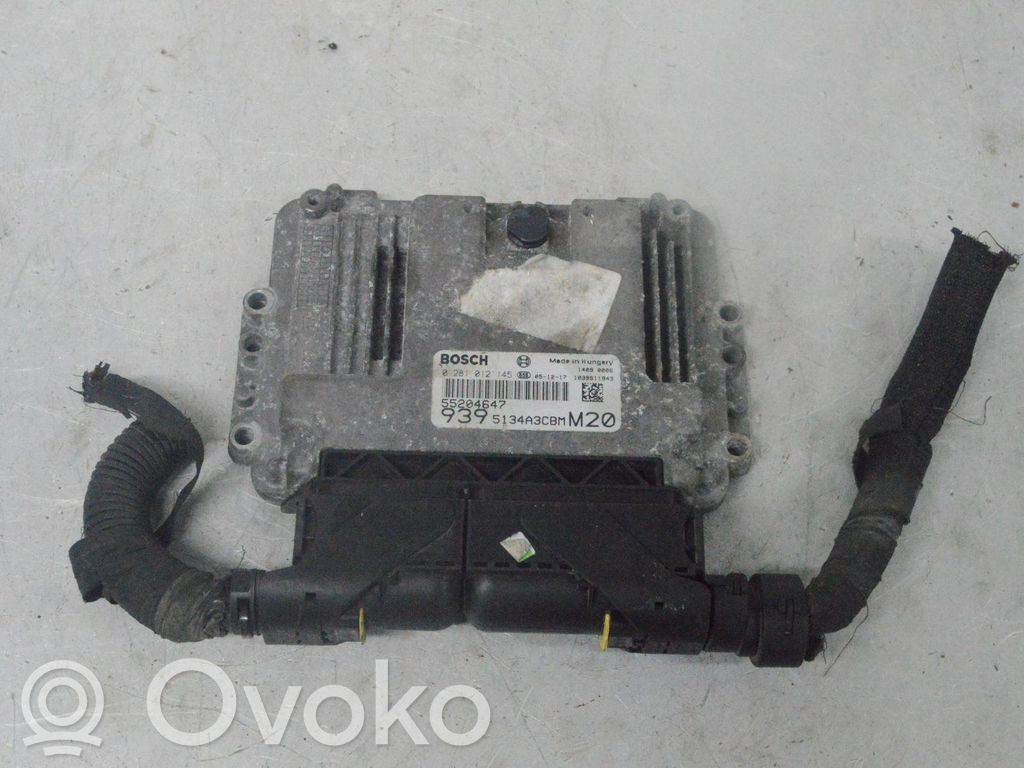 Injection control unit/module   55204647,0281012145