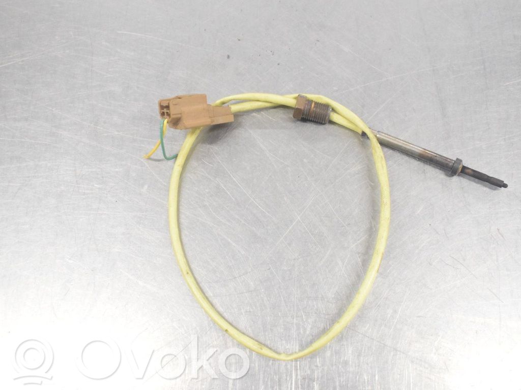 Sensor de temperatura del escape   226407817R
