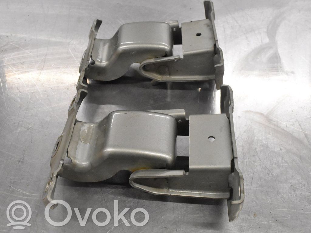 Tailgate/trunk/boot hinge