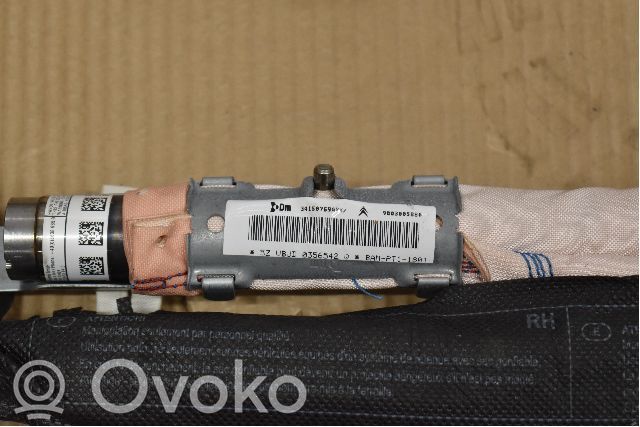 Airbag cortină   9803005880
