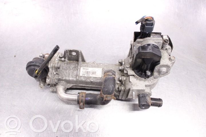 KIA Sportage Valvola EGR