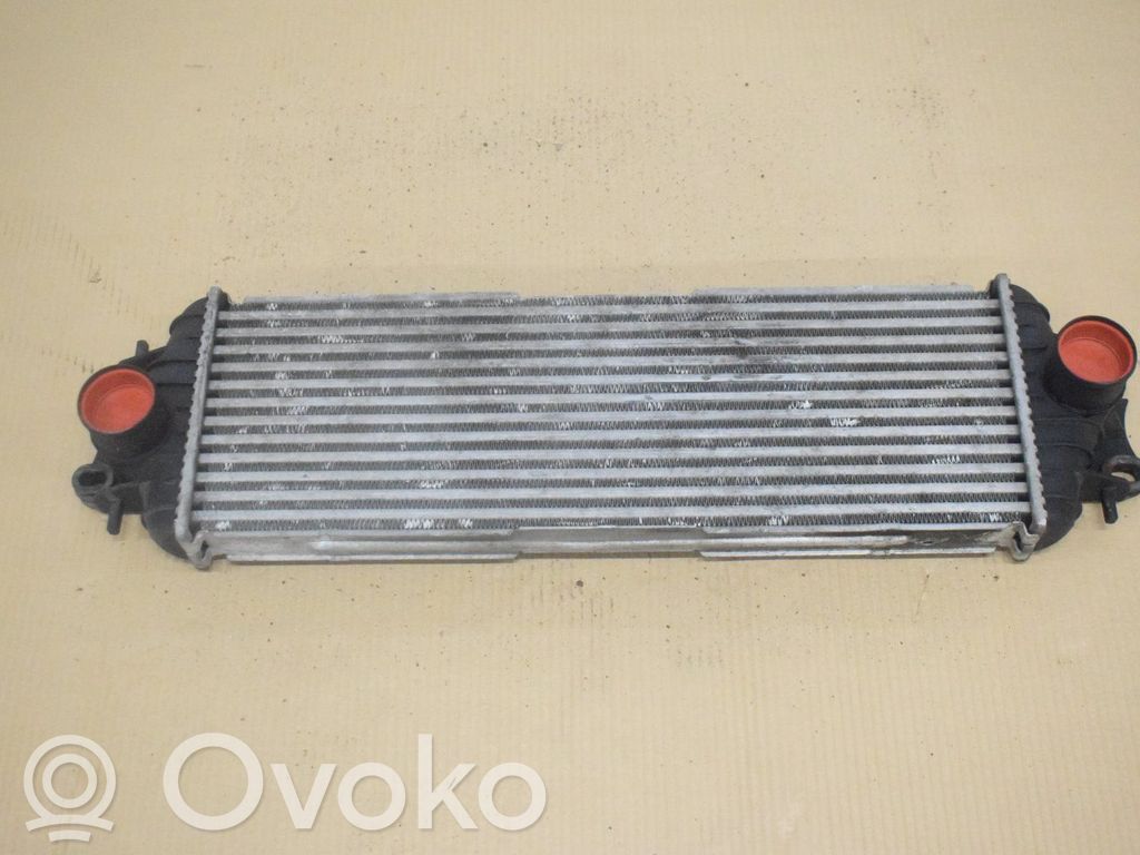 Interkūlerio radiatorius   7700312903D