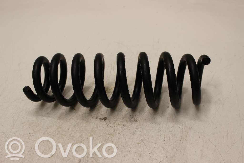 Rear coil spring