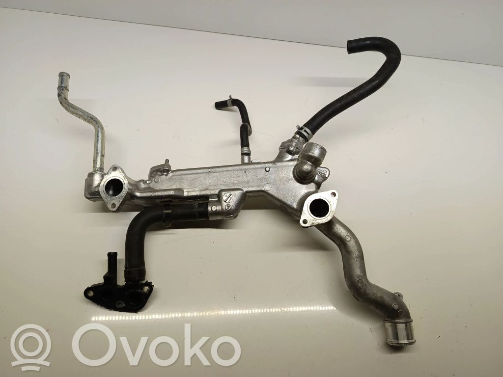 Subaru Outback (BS) Válvula EGR 