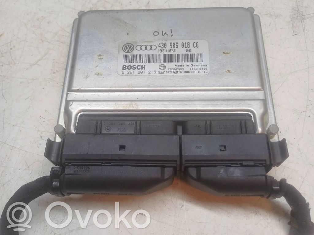 Volkswagen PASSAT B5.5 Engine control unit/module 