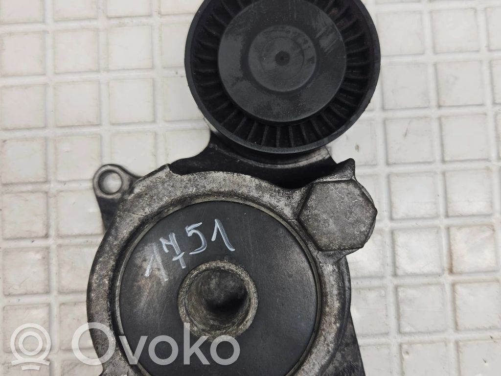 Toyota Avensis T270 Tendicinghia generatore/alternatore 