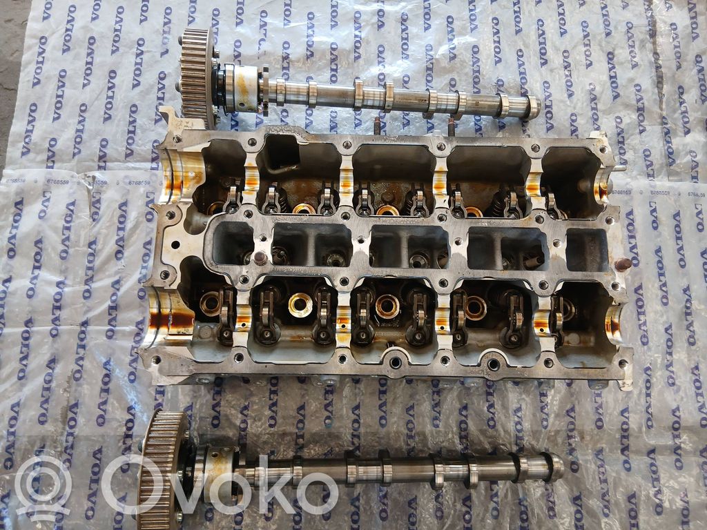 Galvutė   P32298919,VAD701,S303703115