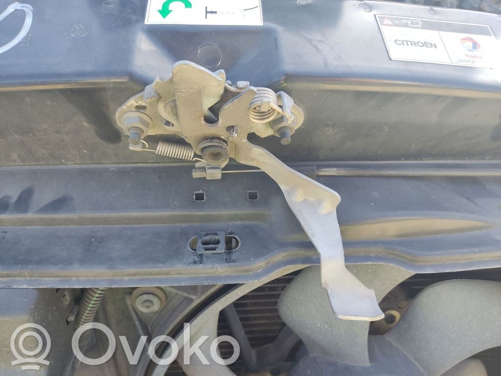 Citroen Xsara Tie down hook / loop 