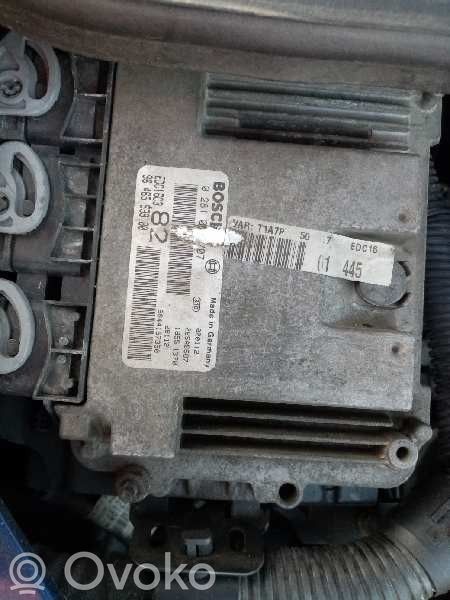 Peugeot 206 Unitate/modul de control motor 