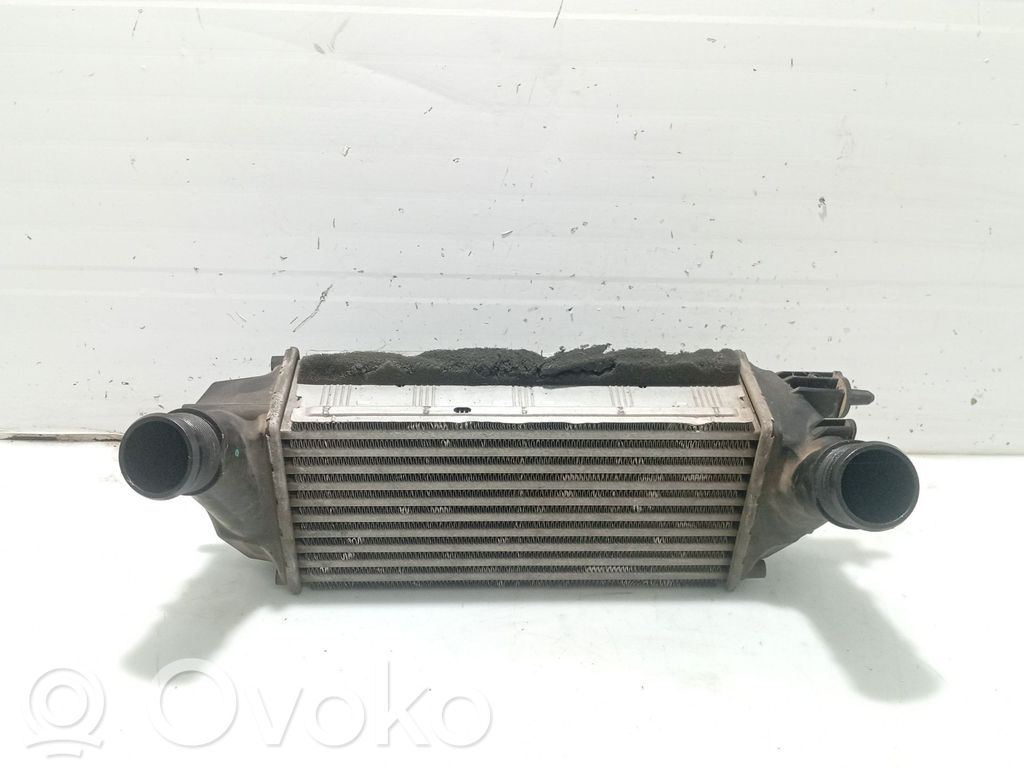 Ford Fiesta Intercooler radiator 