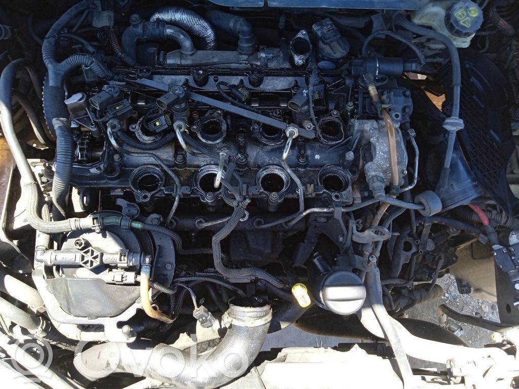 Volvo S40 Galvutė 