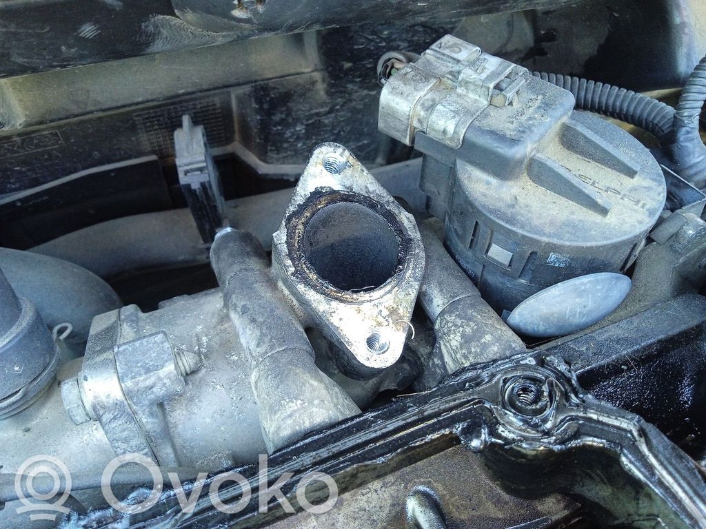 Válvula EGR   36000980