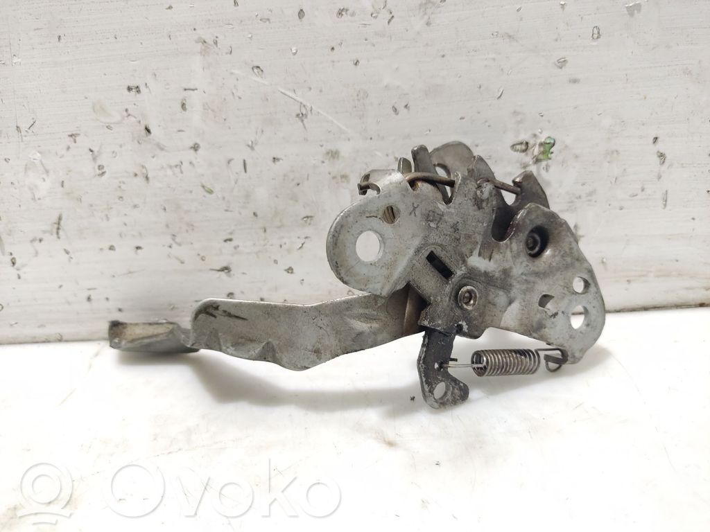 Tie down hook / loop   793452