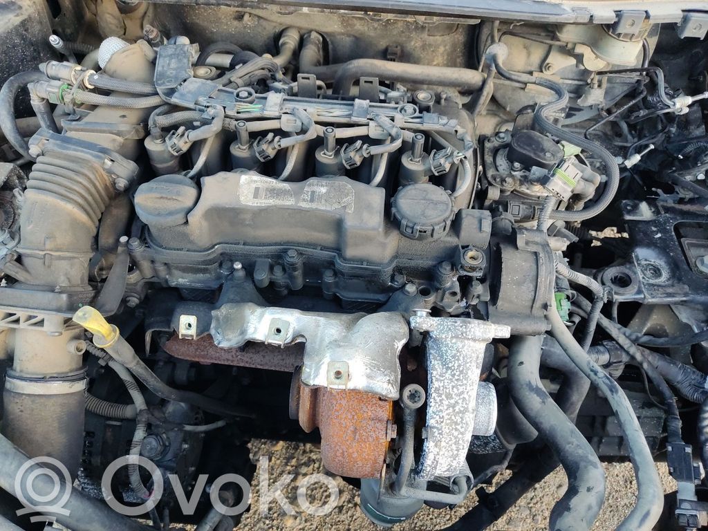 Ford Focus Картер 