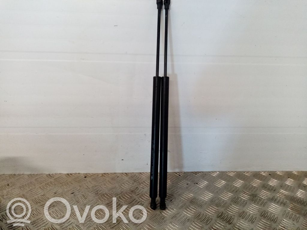 Renault Modus Ammortizzatore portellone posteriore/bagagliaio 
