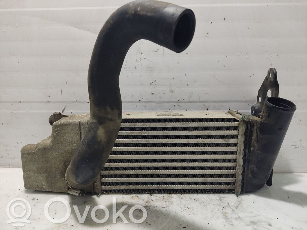 Chłodnica powietrza doładowującego / Intercooler   179000N040,JD1271005350