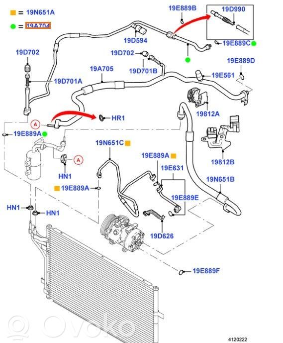 Ford Focus Jäähdytysnesteletku 