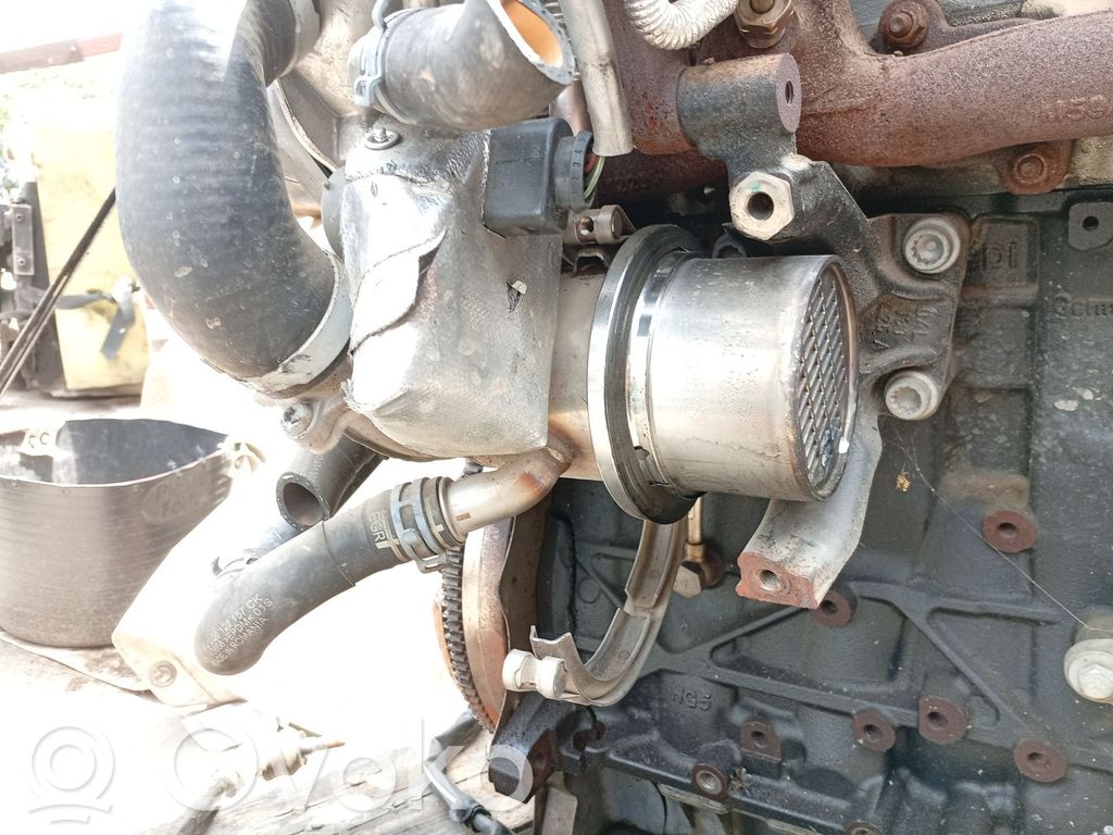 Skoda Octavia Mk3 (5E) Valvola di raffreddamento EGR