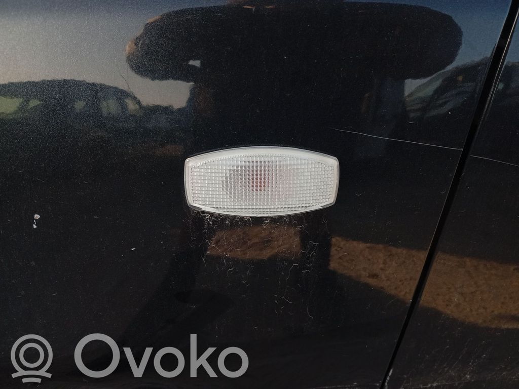 Seitenblinker   42395702
