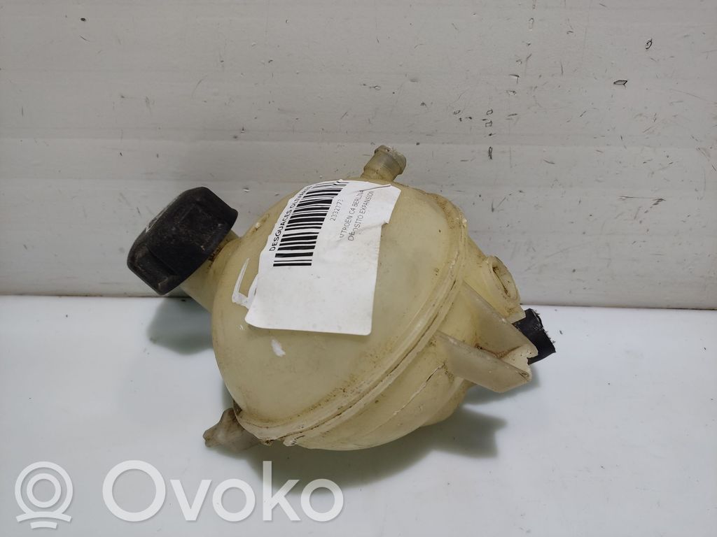 Citroen C4 II Vas expansiune combustibil 