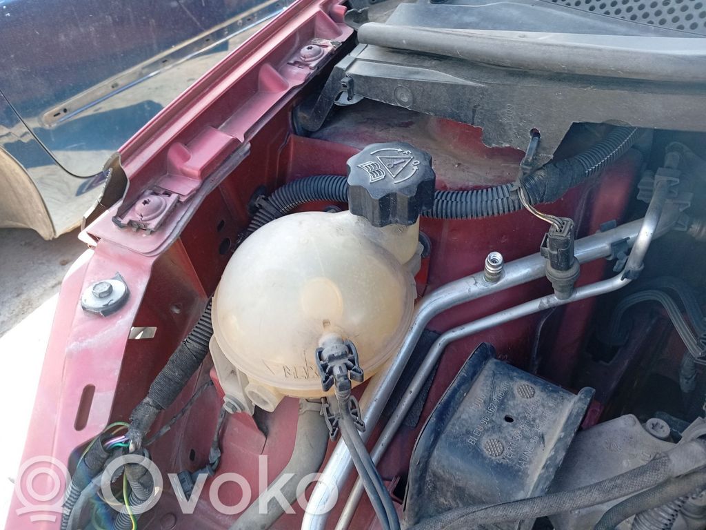 Citroen C4 I Picasso Zbiornik wyrównawczy paliwa 