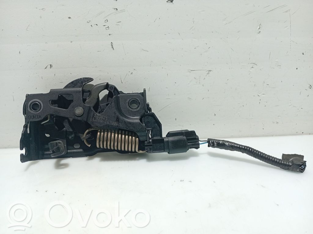 Tie down hook / loop   2545946,LJ6A16700AD,123821