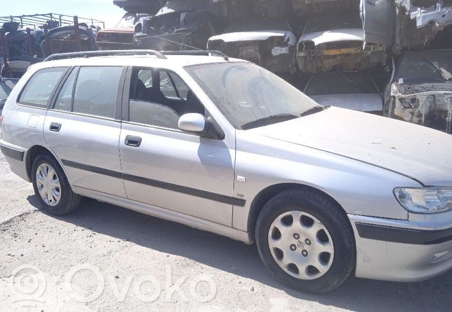 Peugeot 406 Starteris 