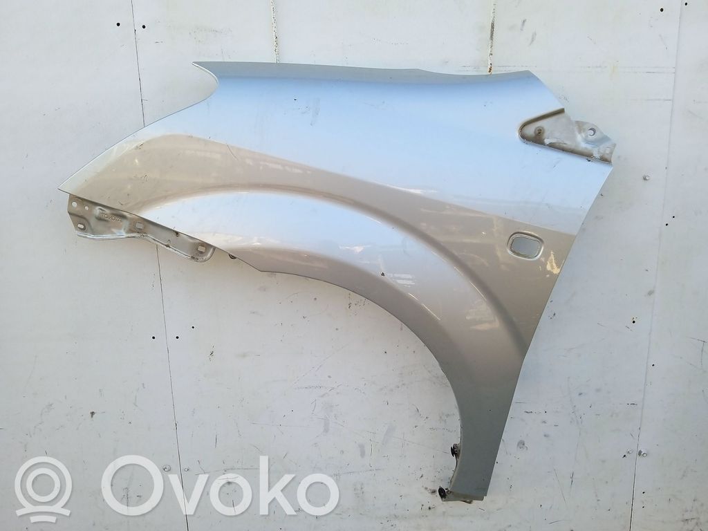 Guardabarro   538120F010