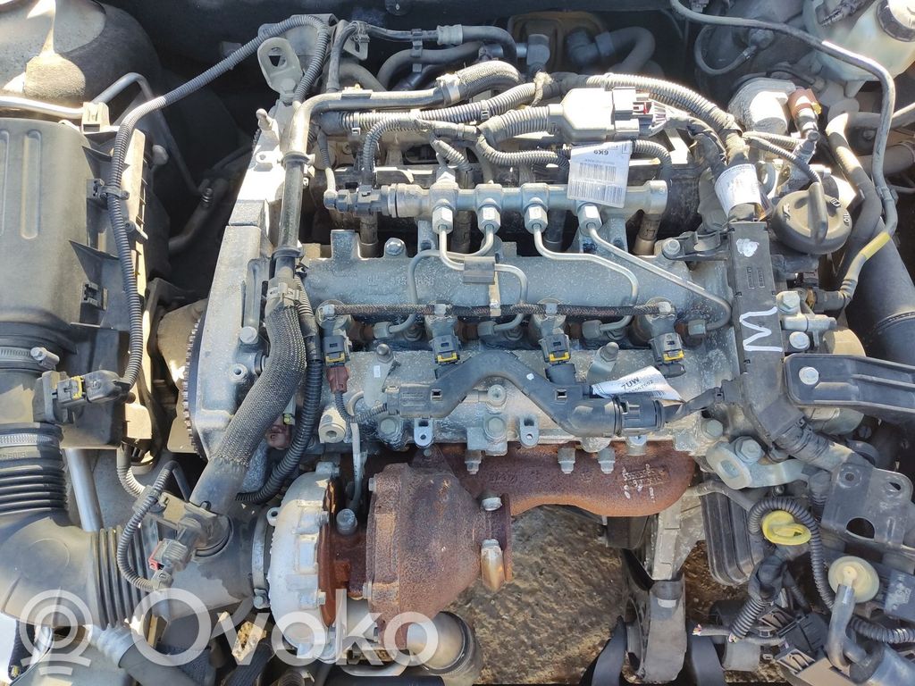 Opel Insignia A Galvutė 