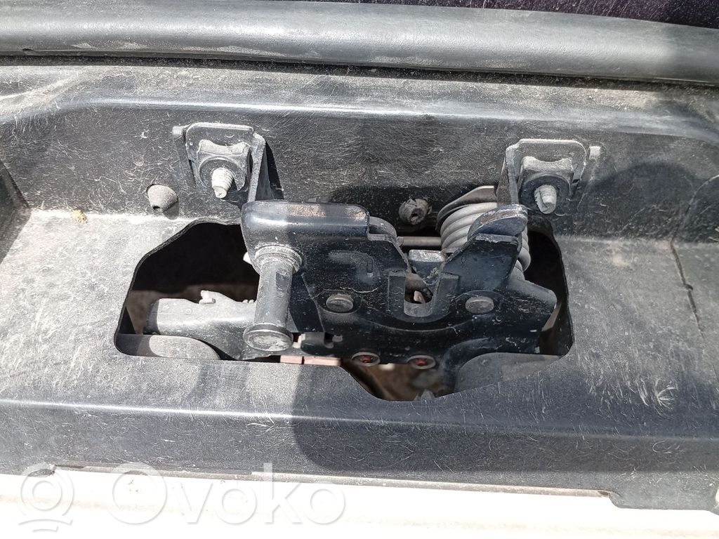 Tie down hook / loop   4B0823509