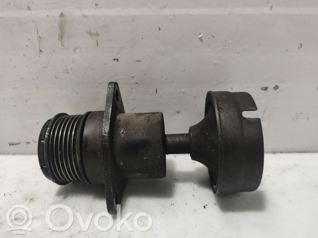 Ford Transit Diržo įtempėjas 