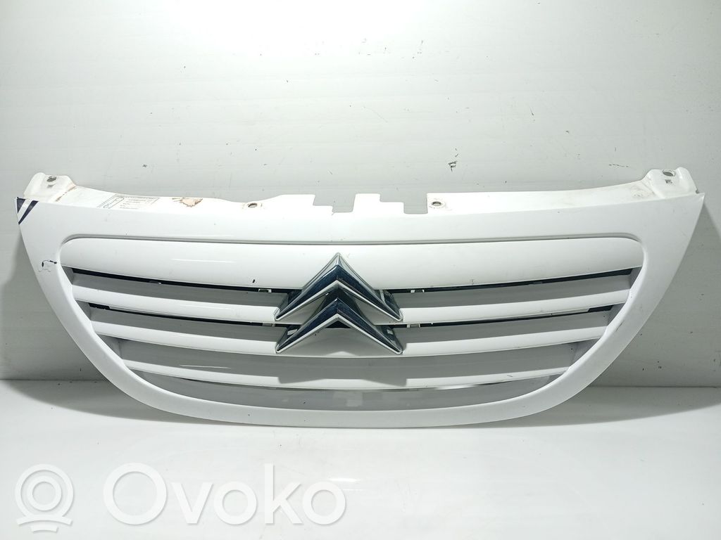 Citroen C3 Fender grill 