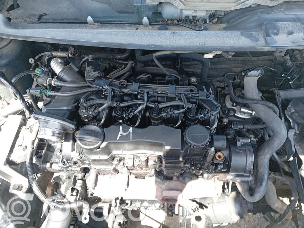 Ford Focus Vārstu vāks 
