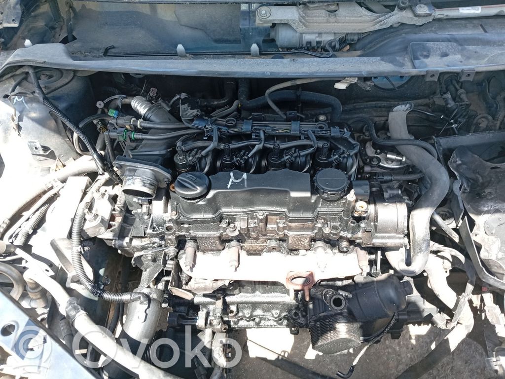 Ford Focus Piston 