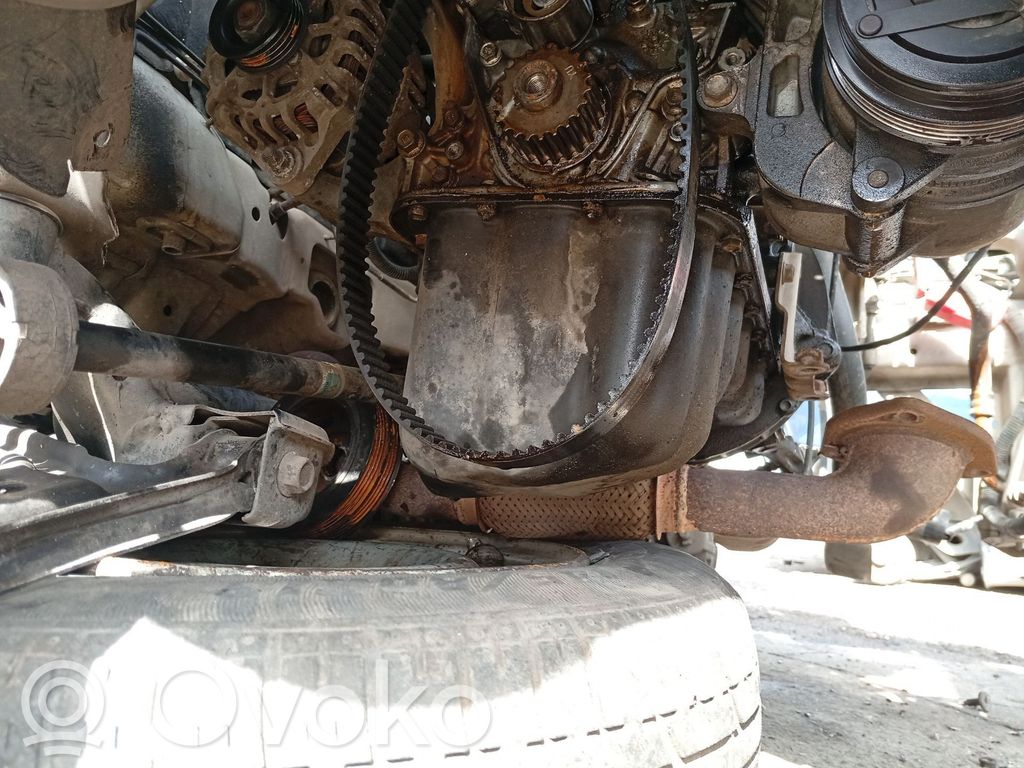 Cárter   96518397