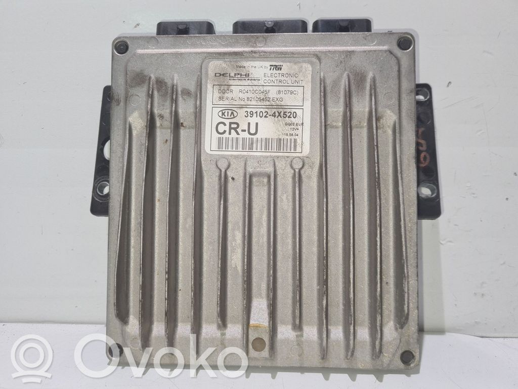 KIA Carnival Engine control unit/module 