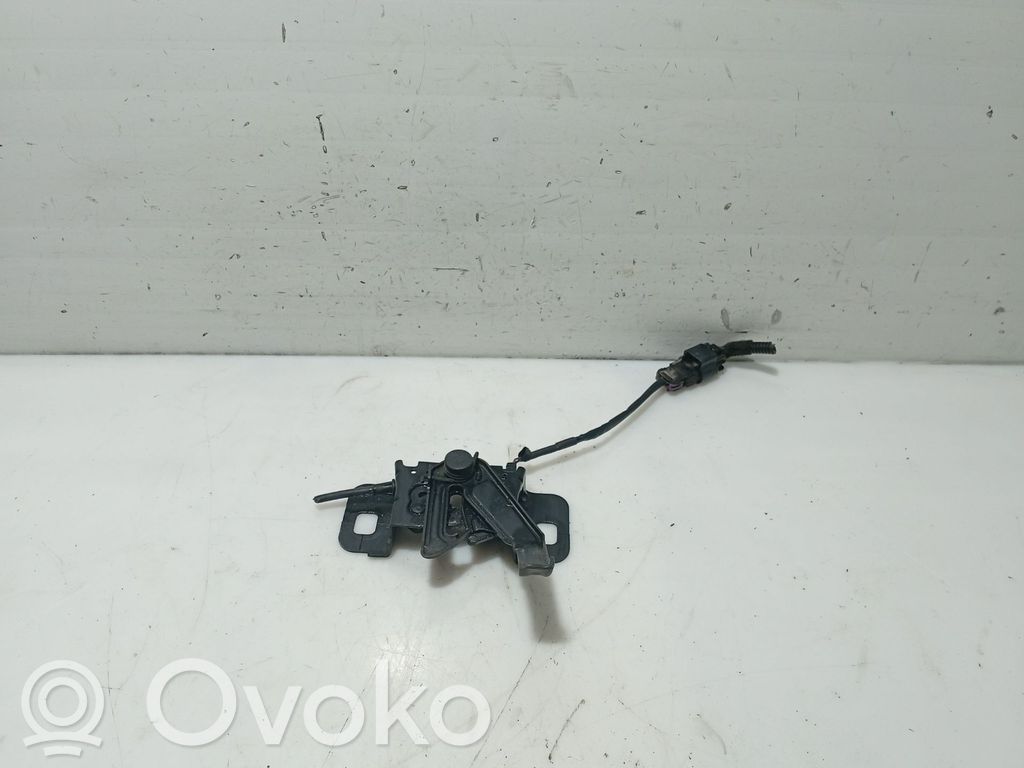 Tie down hook / loop   13313239
