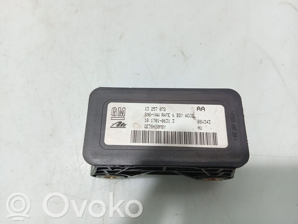 Anturi   13257072,10170106313