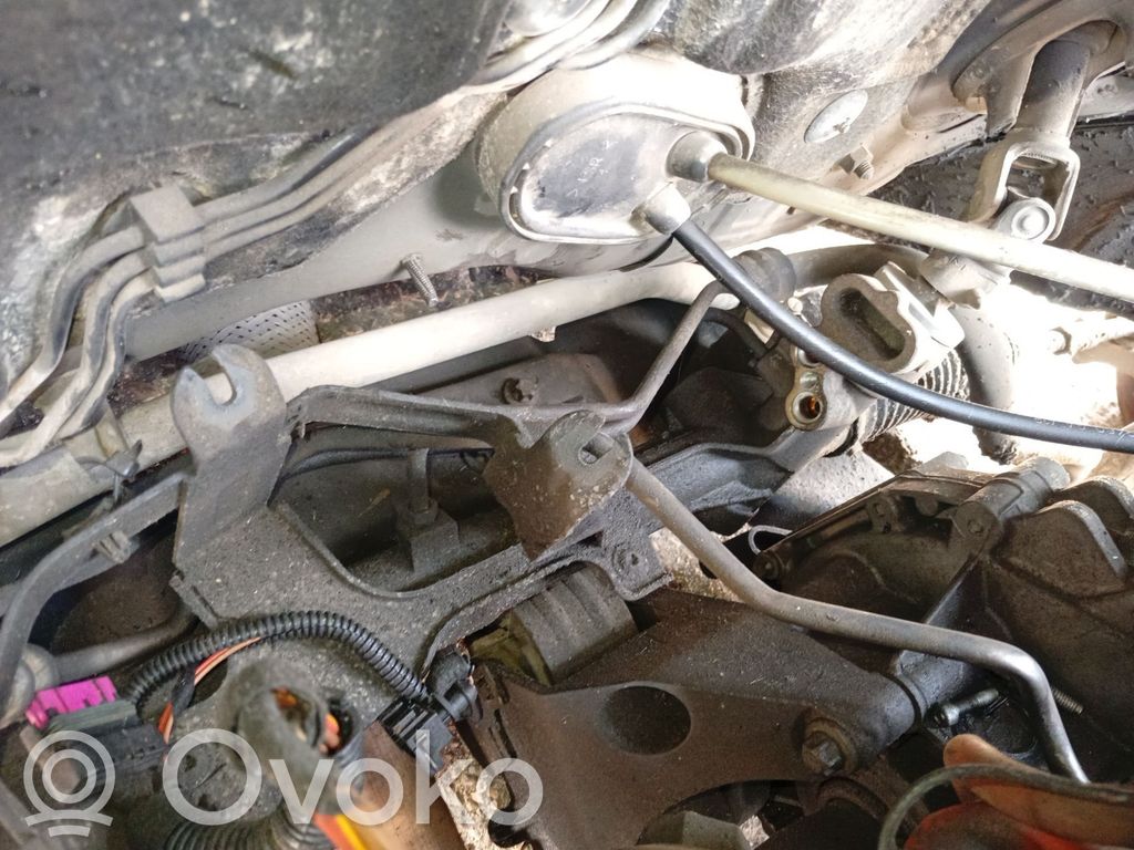 Opel Vectra C Hammastanko 