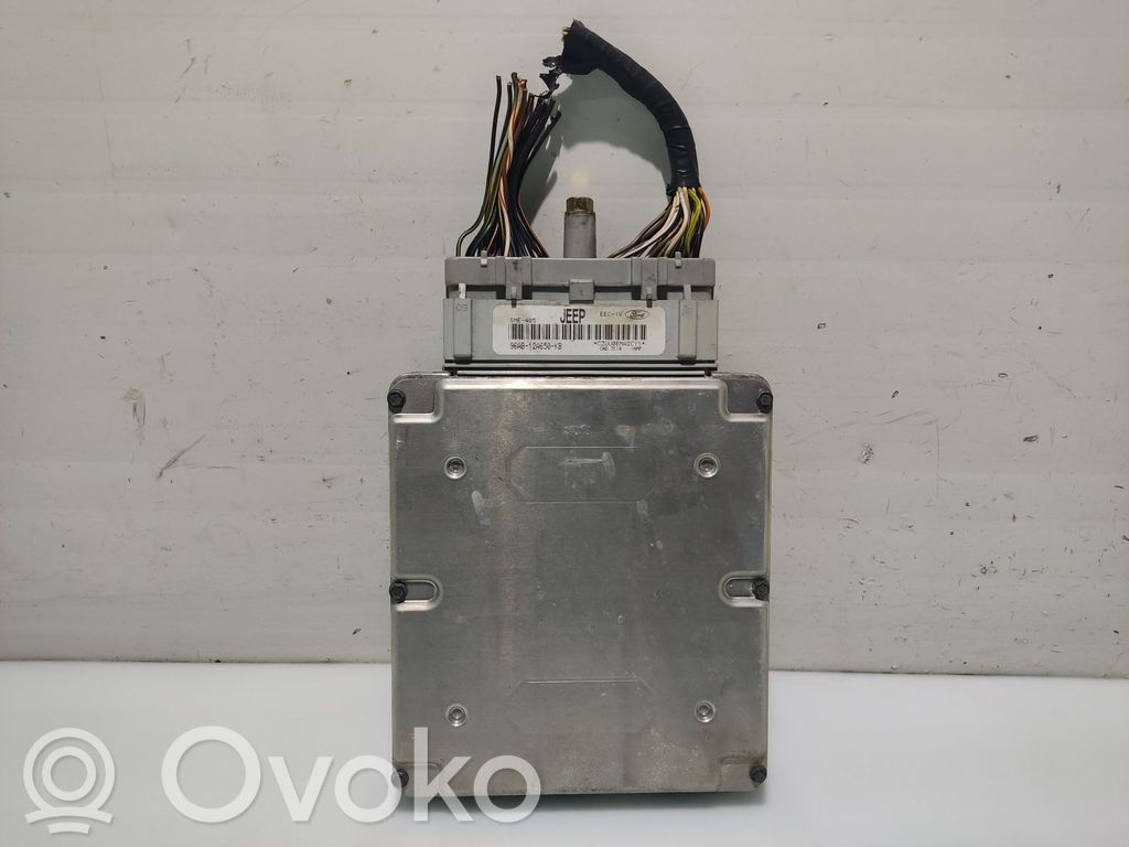 Ford Escort Engine control unit/module 