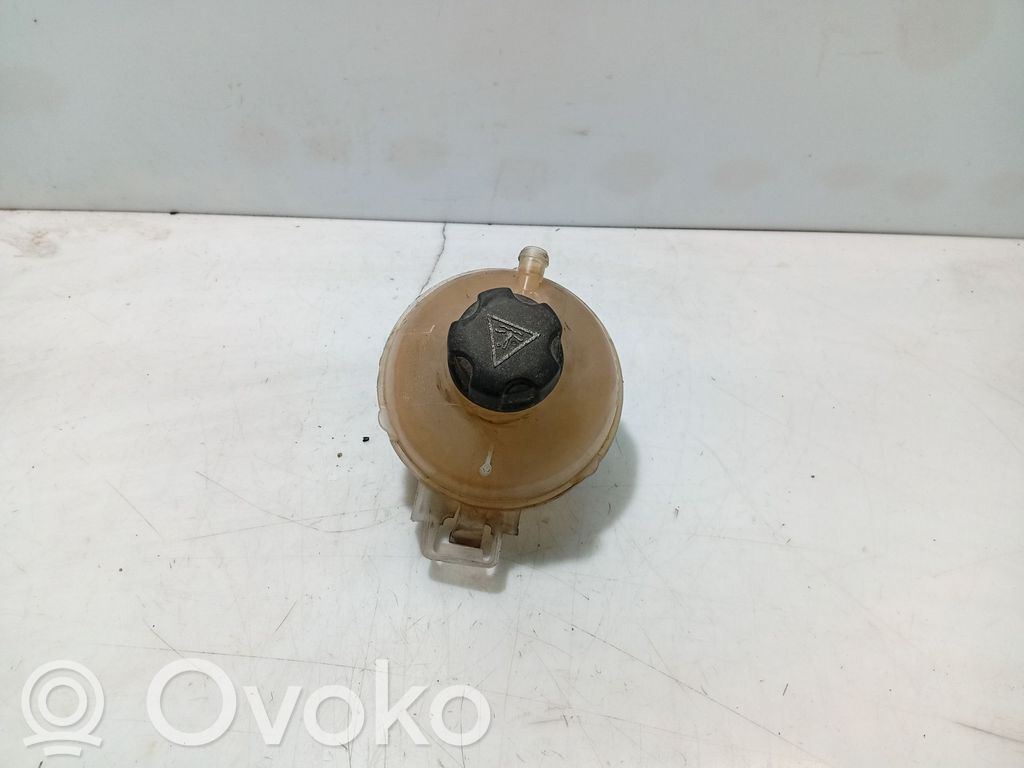 Citroen C4 Grand Picasso Kuro išsiplėtimo bakelis 